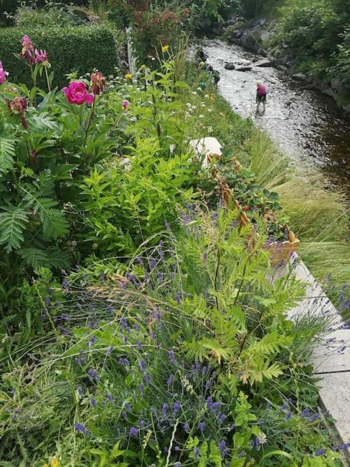 Guenstige, Schoene Ferienwohnung Im Wanderparadies Wernigerode Esterno foto